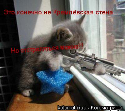 Это,конечно,не Кремлёвская стена... Но отстреляться можно!!!... Котоматрица: Это,конечно,не Кремлёвская стена... Но отстреляться можно!!!