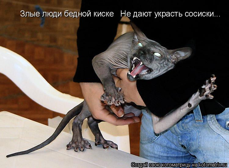 Злые люди бедной киске Не дают украсть сосиски...... Котоматрица: Злые люди бедной киске Не дают украсть сосиски...