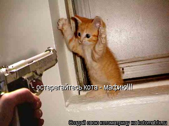 - остерегайтесь кота - мафию!!!... Котоматрица: - остерегайтесь кота - мафию!!!