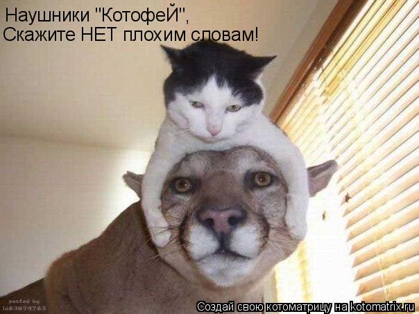 Наушники "КотофеЙ", Скажите НЕТ плохим словам!... Котоматрица: Наушники "КотофеЙ", Скажите НЕТ плохим словам!