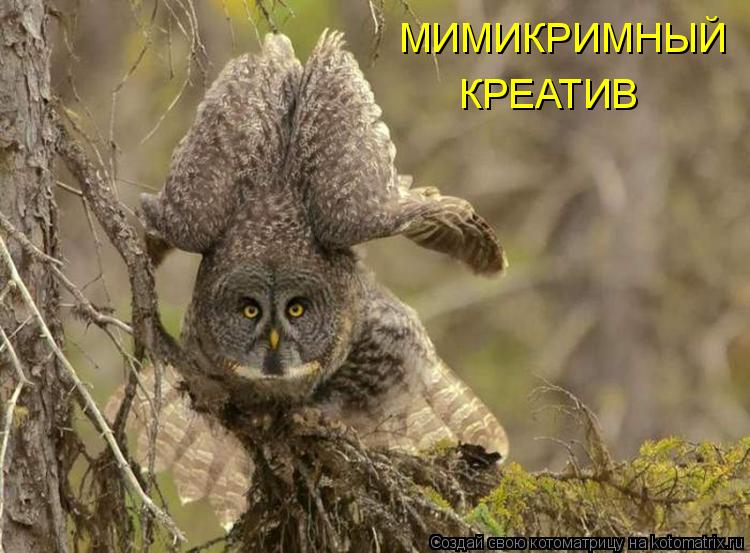 МИМИКРИМНЫЙ КРЕАТИВ... Котоматрица: МИМИКРИМНЫЙ КРЕАТИВ