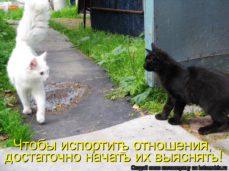 достаточно начать их выяснять! Чтобы испортить отношения,... Котоматрица: достаточно начать их выяснять! Чтобы испортить отношения,