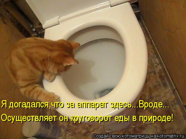 Я догадался,что за аппарат здесь...Вроде... Осуществляет он круговорот еды в природе!... Котоматрица: Я догадался,что за аппарат здесь...Вроде... Осуществляет он круговорот еды в природе!