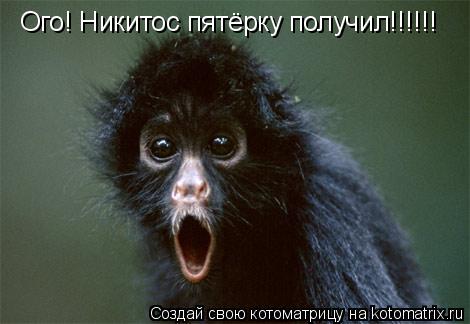 Ого! Никитос пятёрку получил!!!!!!... Котоматрица: Ого! Никитос пятёрку получил!!!!!!