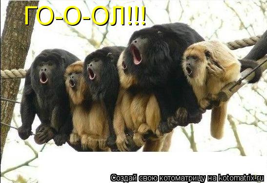 Котоматрица: ГО-О-ОЛ!!!