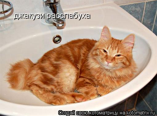 Котоматрица: джакузи расслабуха