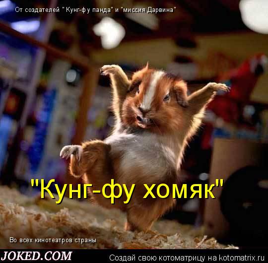 От создателей " Кунг-фу панда" и "миссия Дарвина" "Кунг-фу хомяк" Во всех кинотеатров страны... Котоматрица: От создателей " Кунг-фу панда" и "миссия Дарвина" "Кунг-фу хомяк" Во всех кинотеатров страны