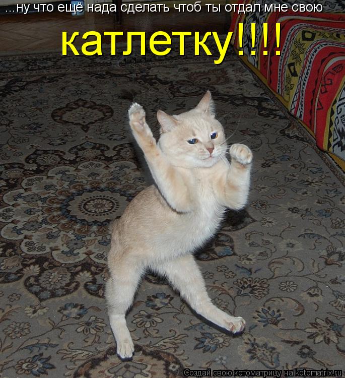 ...ну что ещё нада сделать чтоб ты отдал мне свою катлетку!!!!... Котоматрица: ...ну что ещё нада сделать чтоб ты отдал мне свою катлетку!!!!