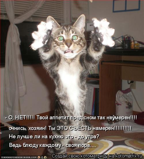 Котоматрица: - О, НЕТ!!!!! Твой аппетит пред сном так неумерен!!!! очнись, хозяин! Ты ЭТО СЪЕСТЬ намерен!!!!!!!!!! Не лучше ли на кухню это - до утра? Ведь блюду к