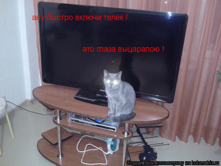 Котоматрица: ану быстро включи телек ! ато глаза выцарапою !