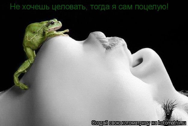 Котоматрица: Не хочешь целовать, тогда я сам поцелую!