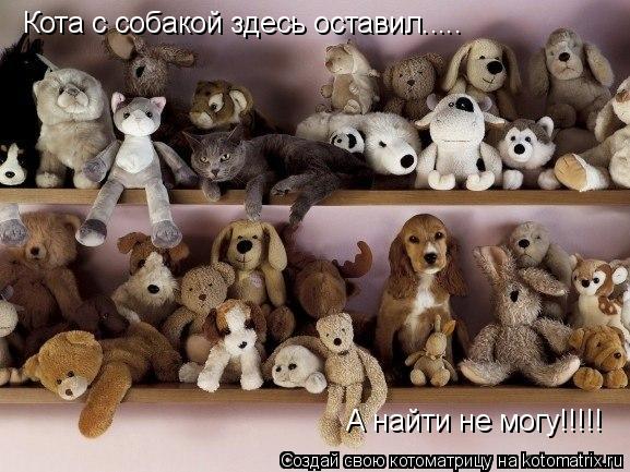 Котоматрица: Кота с собакой здесь оставил..... А найти не могу!!!!!