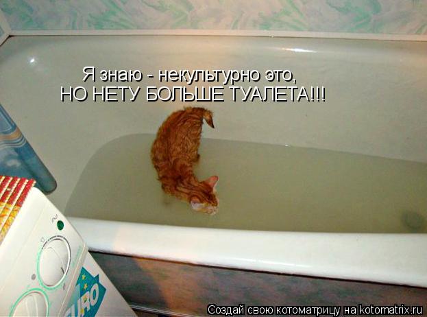 Я знаю - некультурно это, НО НЕТУ БОЛЬШЕ ТУАЛЕТА!!!... Котоматрица: Я знаю - некультурно это, НО НЕТУ БОЛЬШЕ ТУАЛЕТА!!!