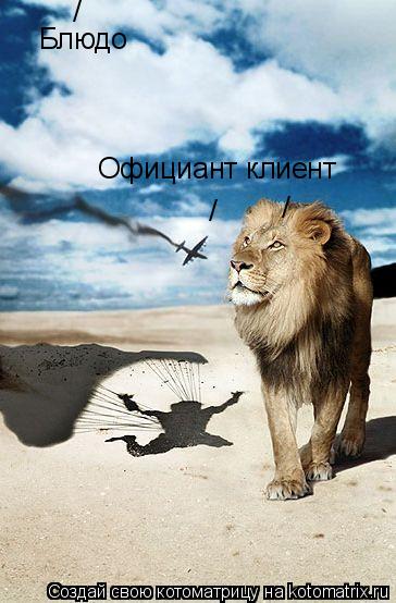 Котоматрица: / / Официант клиент Блюдо /