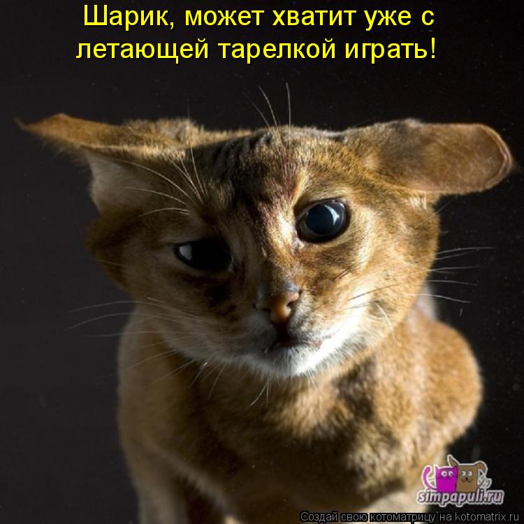 Шарик, может хватит уже с летающей тарелкой играть!... Котоматрица: Шарик, может хватит уже с летающей тарелкой играть!