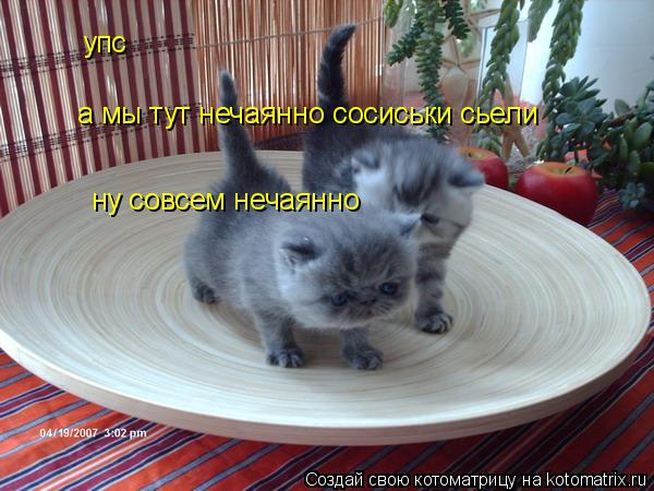 упс а мы тут нечаянно сосиськи сьели ну совсем нечаянно... Котоматрица: упс а мы тут нечаянно сосиськи сьели ну совсем нечаянно