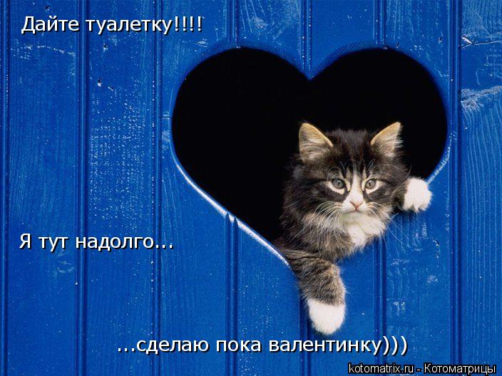 Дайте туалетку!!!! Я тут надолго... ...сделаю пока валентинку)))... Котоматрица: Дайте туалетку!!!! Я тут надолго... ...сделаю пока валентинку)))