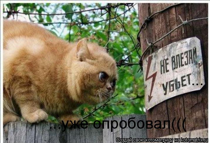 ... ...уже опробовал(((... Котоматрица: ... ...уже опробовал(((
