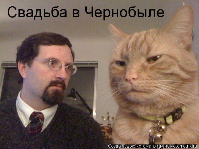 Котоматрица: Свадьба в Чернобыле