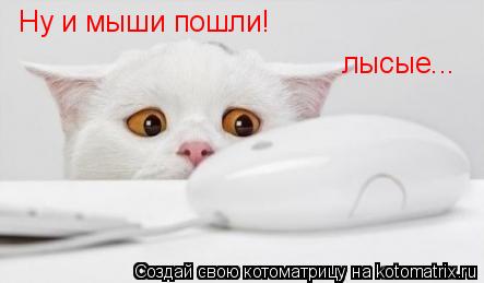Ну и мыши пошли! лысые...... Котоматрица: Ну и мыши пошли! лысые...
