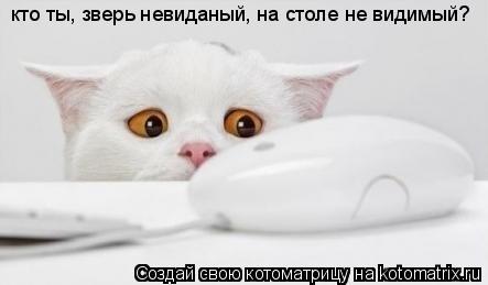 кто ты, зверь невиданый, на столе не видимый?... Котоматрица: кто ты, зверь невиданый, на столе не видимый?