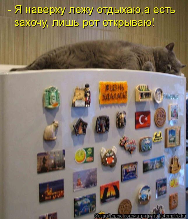 - Я наверху лежу отдыхаю,а есть захочу, лишь рот открываю!... Котоматрица: - Я наверху лежу отдыхаю,а есть захочу, лишь рот открываю!