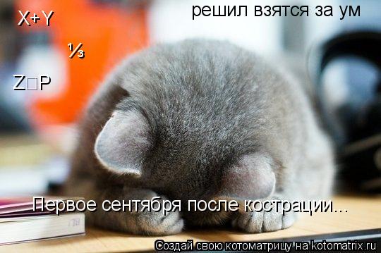X+Y ⅓ Z⋜P Первое сентября после кострации... решил взятся за ум... Котоматрица: X+Y ⅓ Z⋜P Первое сентября после кострации... решил взятся за ум