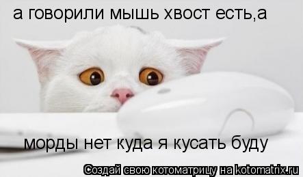 а говорили мышь хвост есть а морды нет куда я кусать буду а говорили мышь хвост есть,а морды нет куда... Котоматрица: а говорили мышь хвост есть а морды нет куда я кусать буду а говорили мышь хвост есть,а морды нет куда я кусать буду
