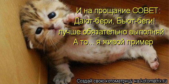 И на прощание СОВЕТ: Дают-бери, Бьют-беги! лучше обязательно выполняй А то... я живой пример... Котоматрица: И на прощание СОВЕТ: Дают-бери, Бьют-беги! лучше обязательно выполняй А то... я живой пример