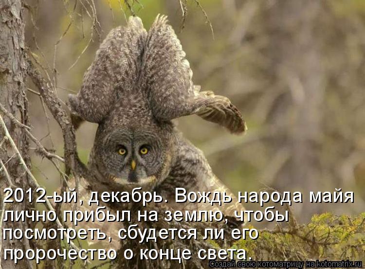 посмотреть, сбудется ли его пропрочество 2012-ый, декабрь. Вождь народа майя лично прибыл на землю, ч... Котоматрица: посмотреть, сбудется ли его пропрочество 2012-ый, декабрь. Вождь народа майя лично прибыл на землю, чтобы посмотреть, сбудется ли его пророчес