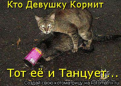 Кто Девушку Кормит Тот её и Танцует...... Котоматрица: Кто Девушку Кормит Тот её и Танцует...