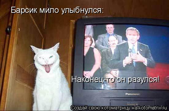 Барсик мило улыбнулся: Барсик мило улыбнулся: Наконец-то он разулся!... Котоматрица: Барсик мило улыбнулся: Барсик мило улыбнулся: Наконец-то он разулся!