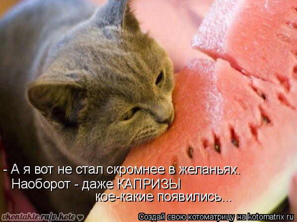 Наоборот - даже КАПРИЗЫ кое-какие появились... - А я вот не стал скромнее в желаньях.... Котоматрица: Наоборот - даже КАПРИЗЫ кое-какие появились... - А я вот не стал скромнее в желаньях.
