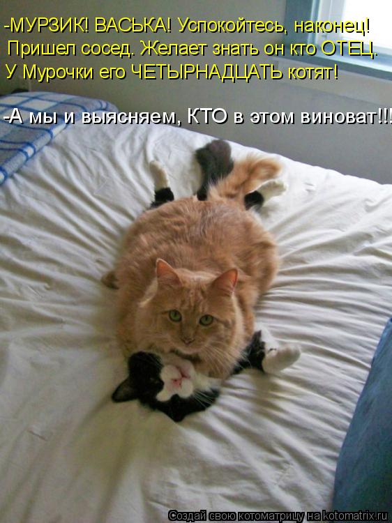 -МУРЗИК! ВАСЬКА! Успокойтесь, наконец! Пришел сосед. Желает знать он кто ОТЕЦ. У Мурочки его ЧЕТЫРНАД... Котоматрица: -МУРЗИК! ВАСЬКА! Успокойтесь, наконец! Пришел сосед. Желает знать он кто ОТЕЦ. У Мурочки его ЧЕТЫРНАДЦАТЬ котят! -А мы и выясняем, КТО в этом ви