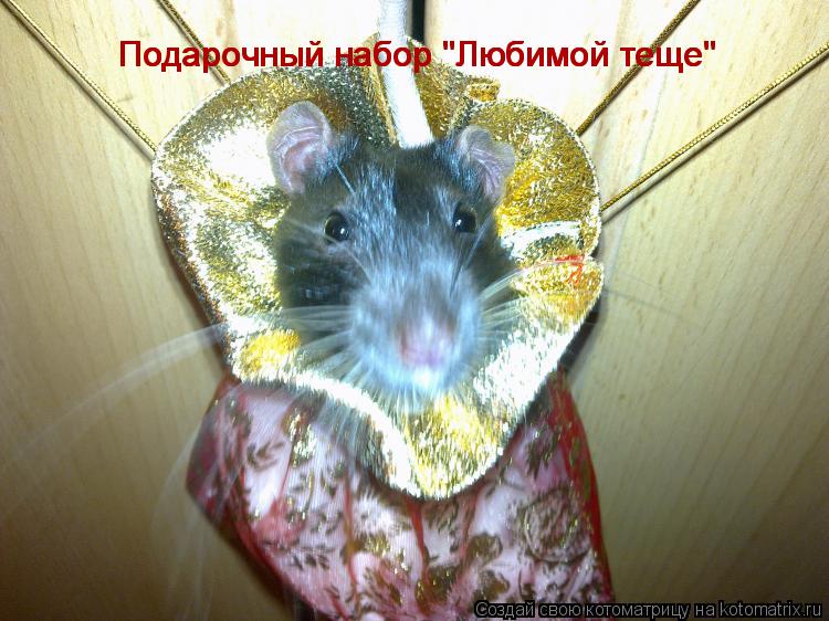 Подарочный набор "Любимой теще" Подарочный набор "Любимой теще" Подарочный набор "Любимой теще"... Котоматрица: Подарочный набор "Любимой теще" Подарочный набор "Любимой теще" Подарочный набор "Любимой теще"