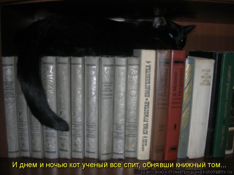 И днем и ночью кот ученый все спит, обнявши книжный том...... Котоматрица: И днем и ночью кот ученый все спит, обнявши книжный том...
