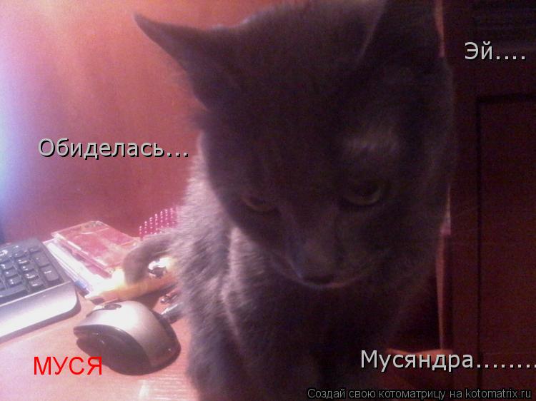 Обиделась... Мусяндра........ Эй.... МУСЯ... Котоматрица: Обиделась... Мусяндра........ Эй.... МУСЯ