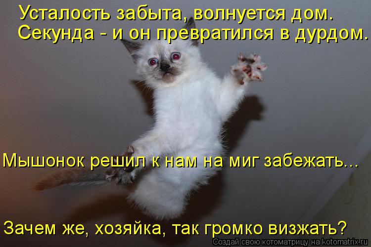 Усталость забыта, волнуется дом. Секунда - и он превратился в дурдом. Мышонок решил к нам на миг за... Котоматрица: Усталость забыта, волнуется дом. Секунда - и он превратился в дурдом. Мышонок решил к нам на миг забежать... Зачем же, хозяйка, так громко виз