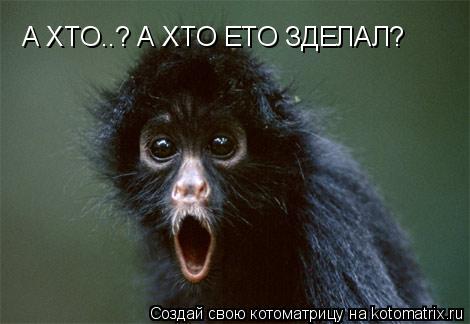 Котоматрица: А ХТО..? А ХТО ЕТО ЗДЕЛАЛ?