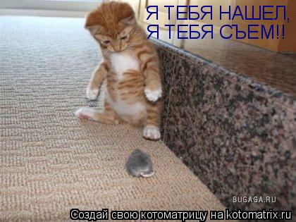 Котоматрица: Я ТЕБЯ НАШЕЛ, Я ТЕБЯ СЪЕМ!!