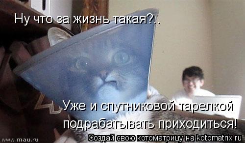 Ну что за жизнь такая?.. Уже и спутниковой тарелкой подрабатывать приходиться! подрабатывать приходи... Котоматрица: Ну что за жизнь такая?.. Уже и спутниковой тарелкой подрабатывать приходиться! подрабатывать приходиться!