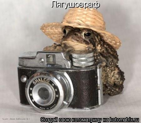 Котоматрица: Лягушовраф