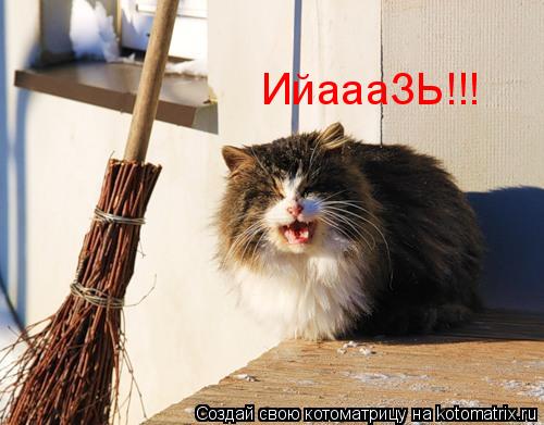 Котоматрица: ИйаааЗЬ!!!