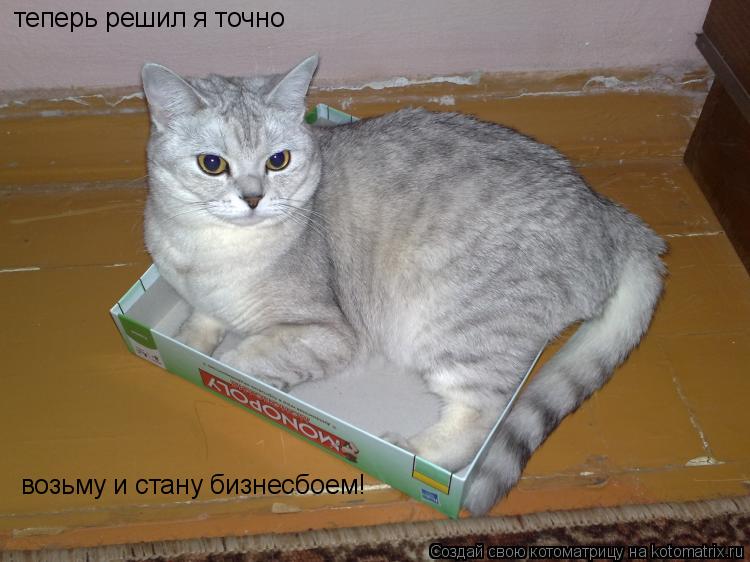 теперь решил я точно возьму и стану бизнесбоем!... Котоматрица: теперь решил я точно возьму и стану бизнесбоем!