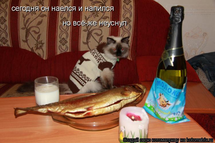 сегодня он наелся и напился но всё-же неуснул... Котоматрица: сегодня он наелся и напился но всё-же неуснул