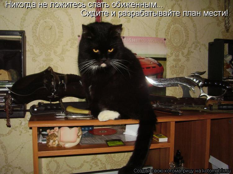 Никогда не ложитесь спать обиженным... Сидите и разрабатывайте план мести!... Котоматрица: Никогда не ложитесь спать обиженным... Сидите и разрабатывайте план мести!