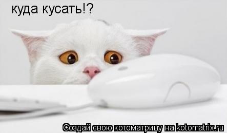 куда кусать!?... Котоматрица: куда кусать!?