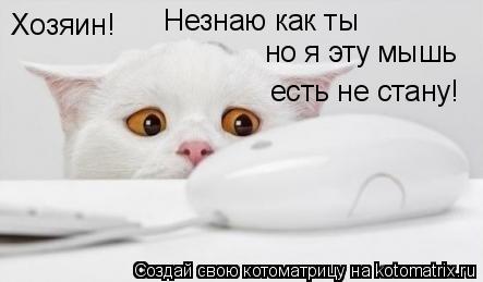 Хозяин! Незнаю как ты но я эту мышь есть не стану!... Котоматрица: Хозяин! Незнаю как ты но я эту мышь есть не стану!