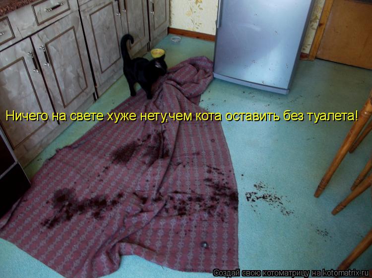Ничего на свете хуже нету, Ничего на свете хуже нету,чем кота оставить без туалета!... Котоматрица: Ничего на свете хуже нету, Ничего на свете хуже нету,чем кота оставить без туалета!