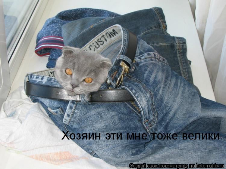 Хозяин эти мне тоже велики... Котоматрица: Хозяин эти мне тоже велики